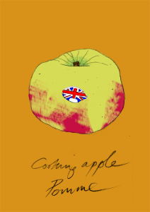 Bramley apple large format Giclee print